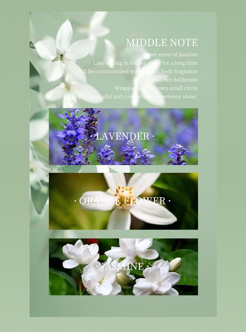 Popular Men's Perfume Custom Floral Fresh Cologne Marine Fragrance OEM/ODM Private Label