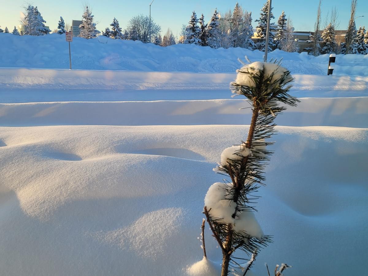 Snowy scene in remote Alaska