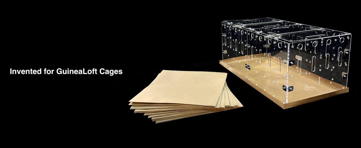 2×1 / 2×2ft. Disposable Bottoms (8-Pack)