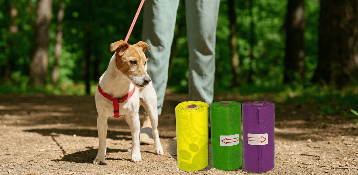 Biodegradable Poop Bags: A Smarter Choice for Clean, Responsible Pet Care