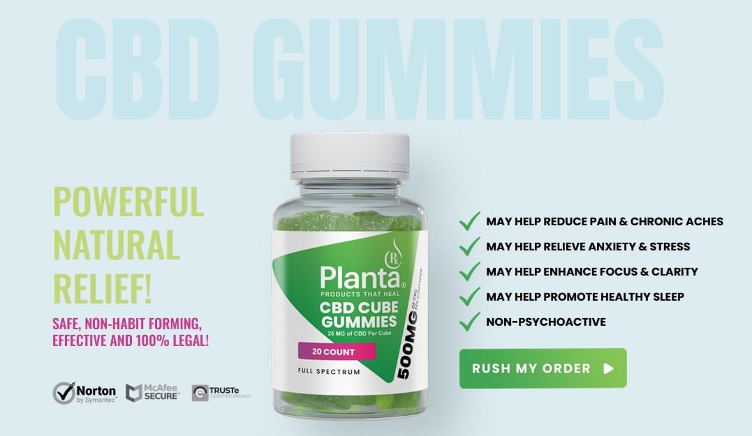 Best CBD Gummies in the UK: BlessedCBD Brand Spotlight