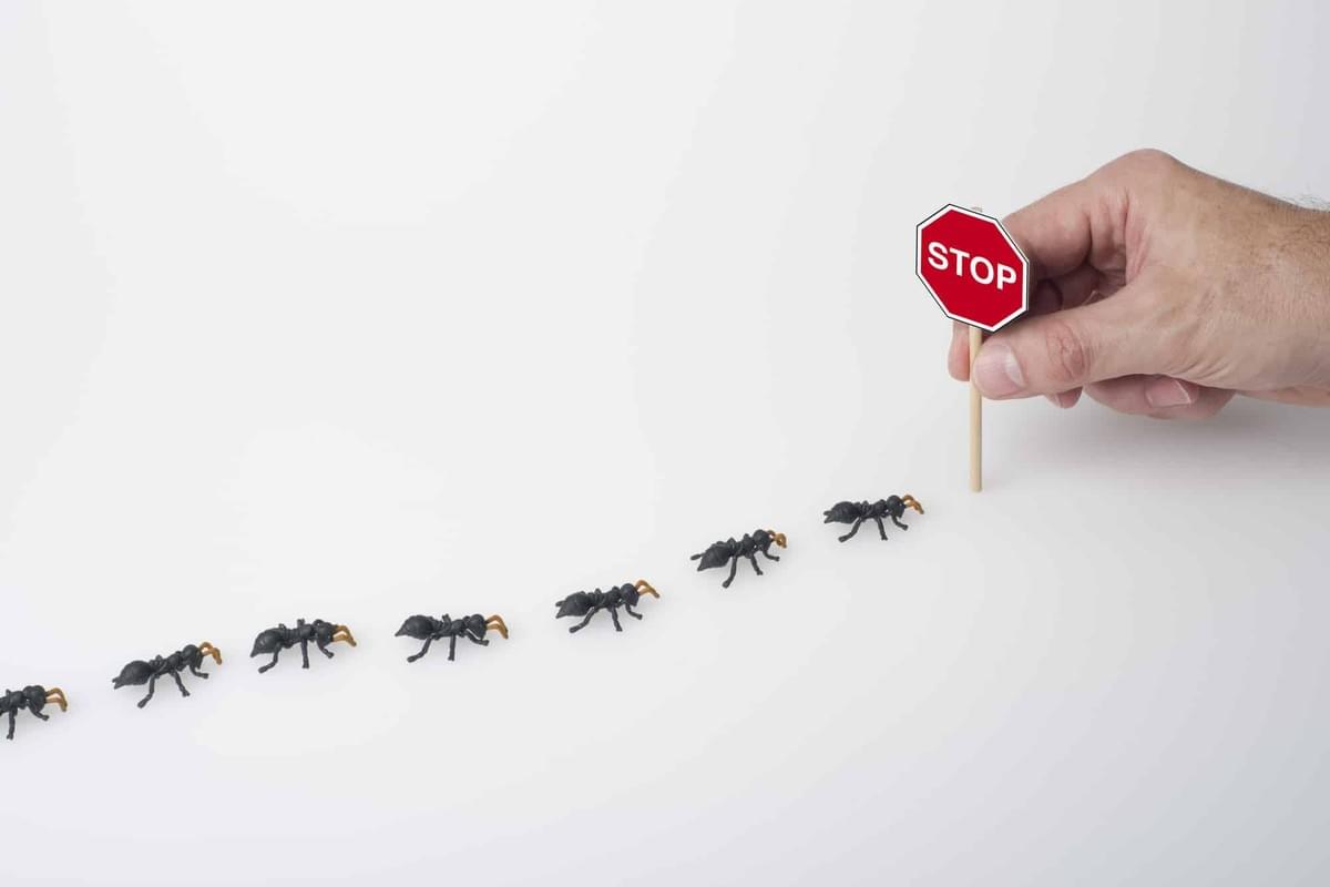 Alt Tag