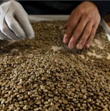 Ear hook bag design allows you to easily enjoy fresh coffee anytime and anywhere, without the cumbersome brewing process. Convenient ear hook bag design The products we provide Sell coffee bean ear hanging bag Give me a website with quality and texture