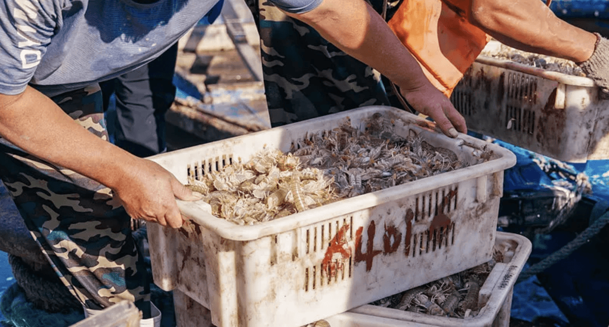 Nan’ao Island: China's 
