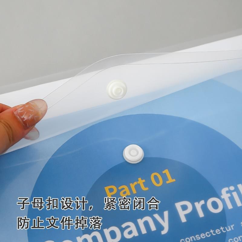 11-hole Velcro or Snap button document bag/HJ-2511