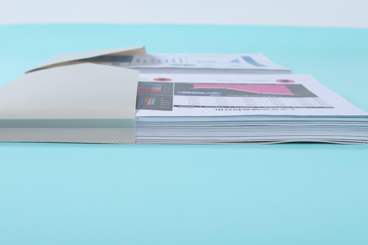 A4 Size Double Pocket Folder (Expandable Pockets)