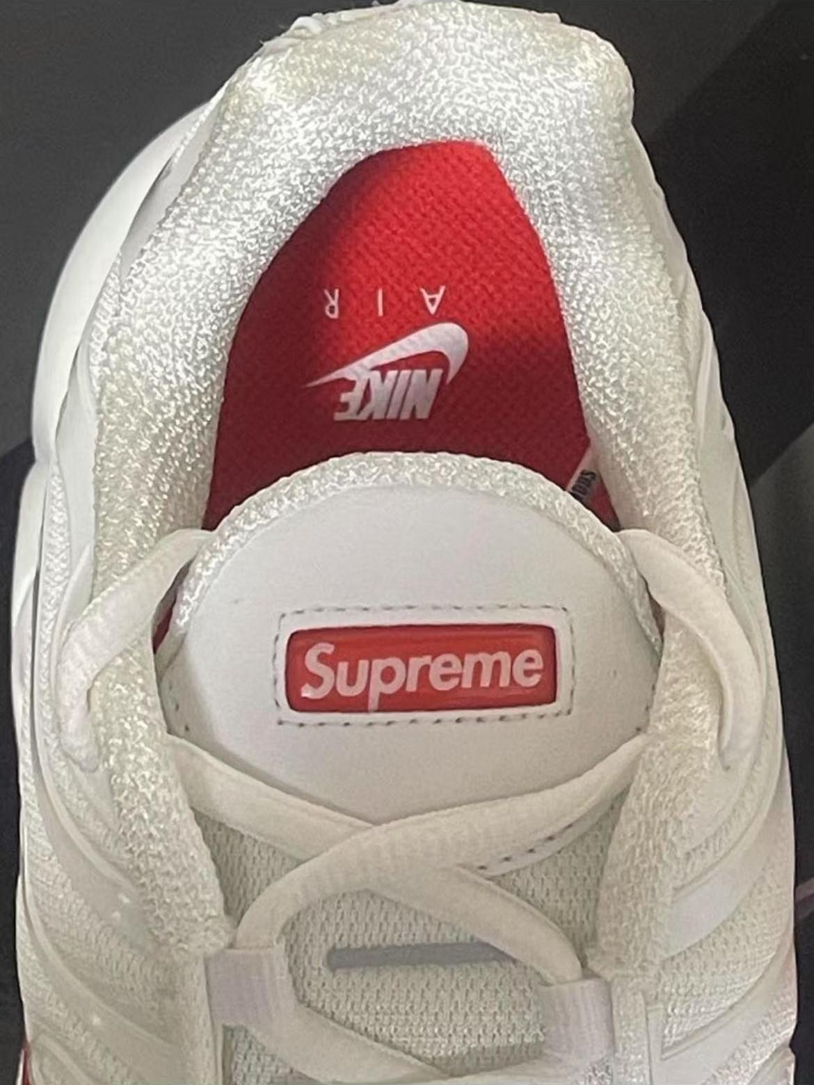 Nike Air Max Plus  Joint model  [7 Colorways]