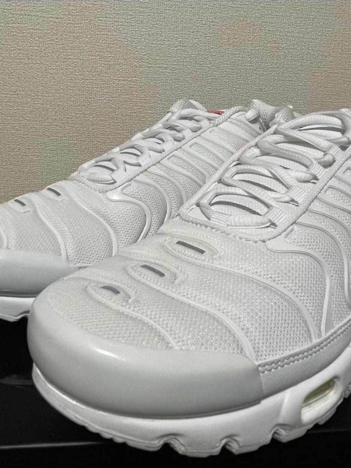 Nike Air Max Plus collaboration [7 Colorways]