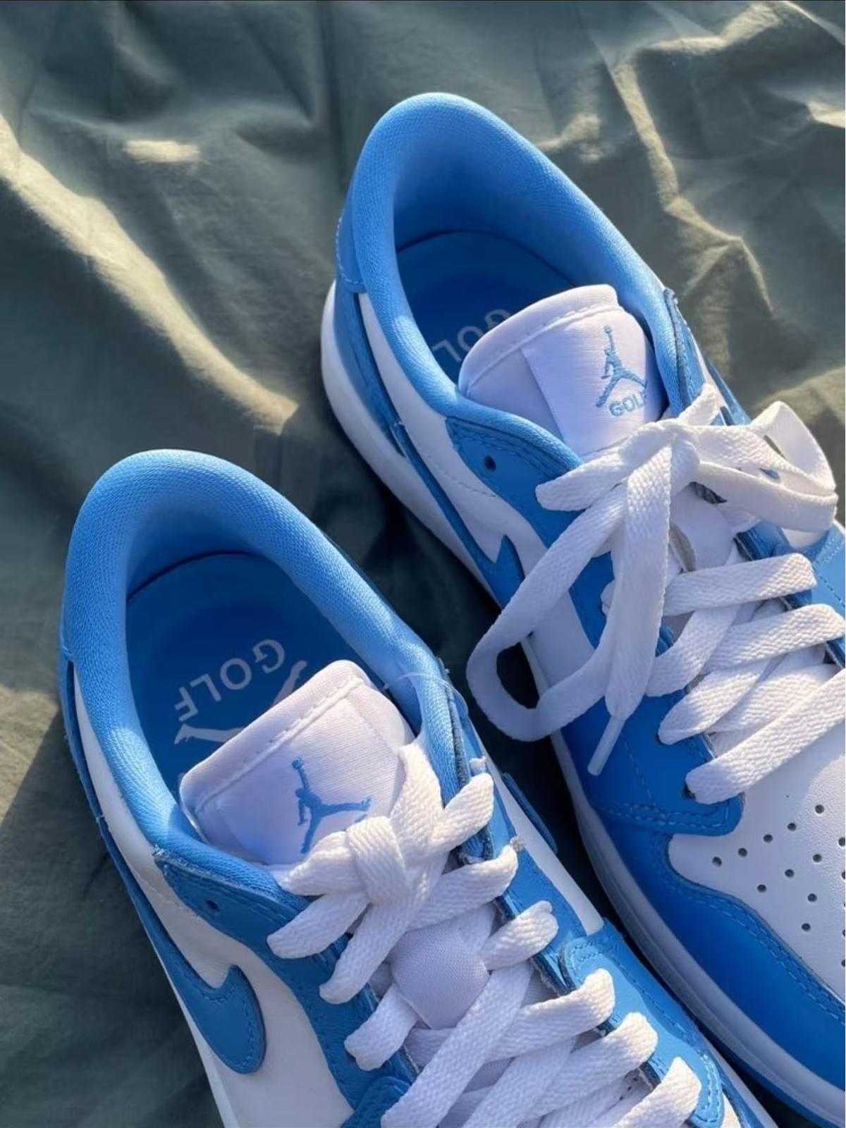 nike sb x Jordan Air Jordan 1 Low