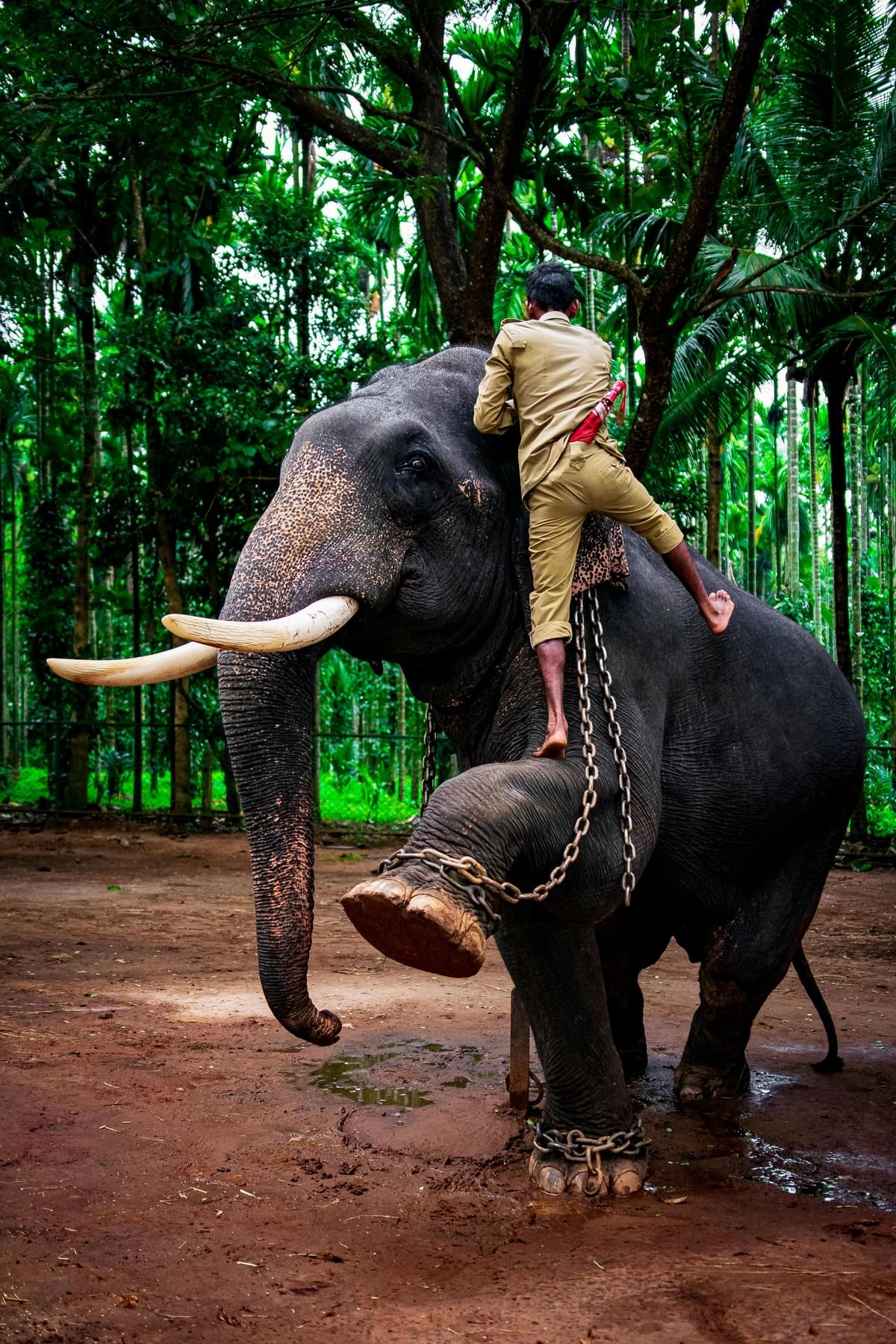 Sign up to benefit from exclusive offers and personalized support in organizing your trips. Plan Your Dream Trip with Professionalism TRAVEL ORGANIZATION Sign up to benefit from exclusive offers and personalized support in organizing your trips. Plan Your Dream Trip with Professionalism TRAVEL ORGANIZATION