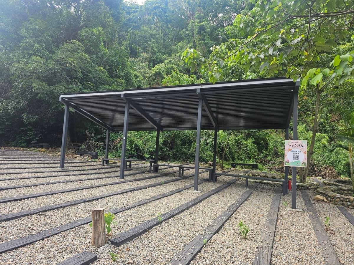 桐花廣場