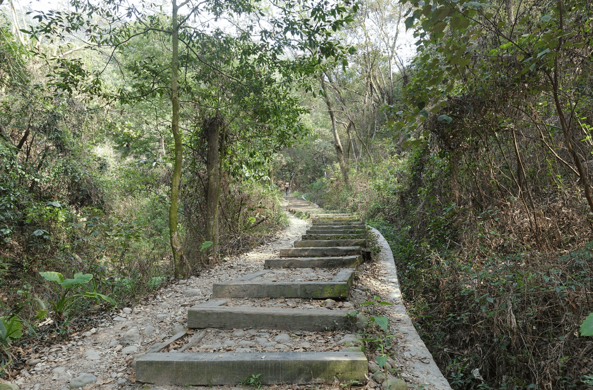 Section image