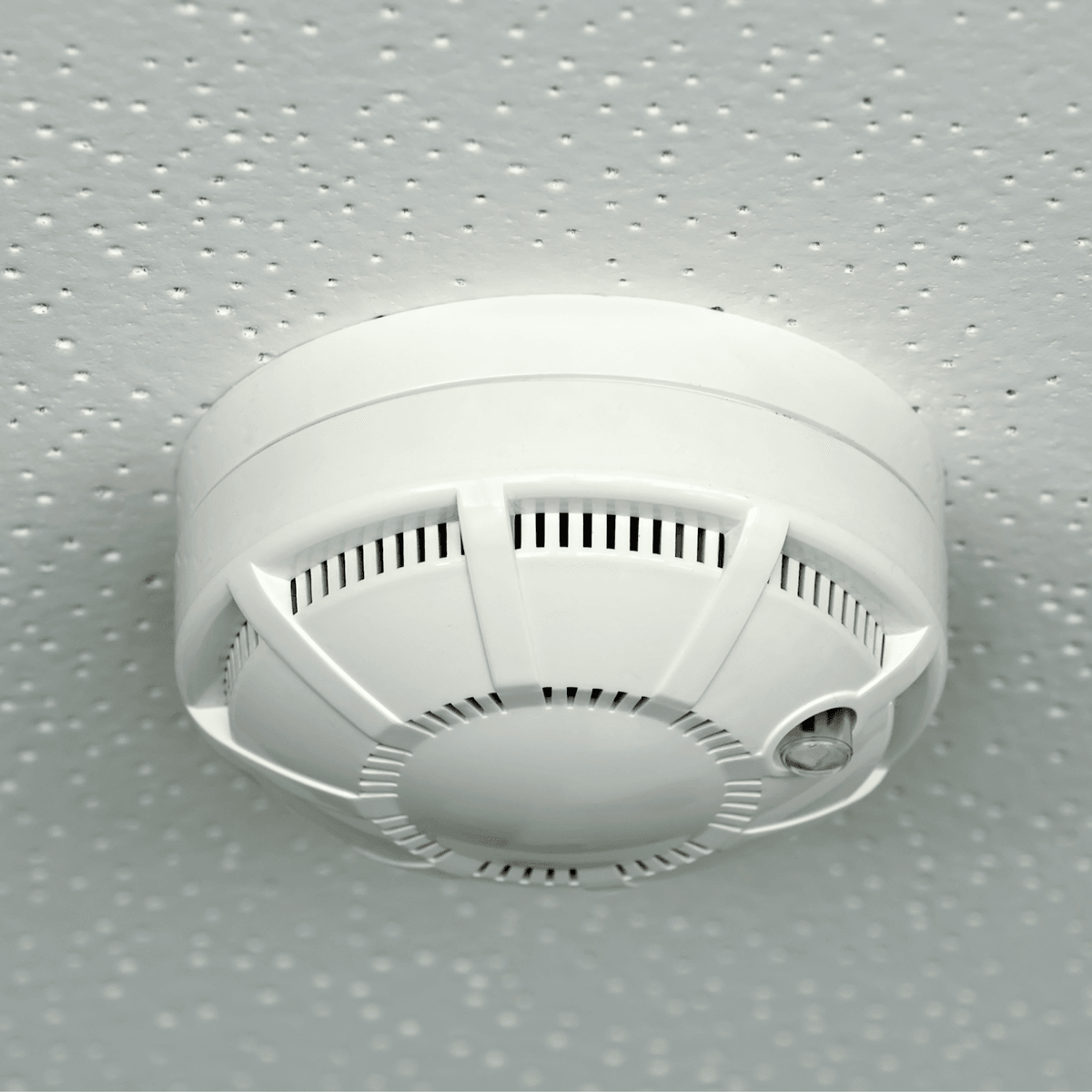 Love our service? Easily upgrade to a full 365-day unlimited plan anytime during your trial. Flexible Upgrade Options Our IoT Solutions Unlimited IoT SIM Card – 30 Day Trial | No Contract | AT&T & T-Mobile Compatible | GPS Trackers & Smart Devices | Upgradeable to 1-Year Plan
Brand: VOICEPING
Search this page
Currently unavailable.
We don't know when or if this item will be back in stock.
Brand	VOICEPING
Service Provider	AT&T, T-Mobile
Cellular Technology	4g Lte
Product Dimensions	1.2"L x 0.8"W
UPC	860013581367
About this item
 30-DAYIoT SIM – Includes 30 days of unlimited data at 128Kbps. Perfect for testing your IoT device before committing long term.
READY TO UPGRADE ANYTIME – Like it? Keep it going! Upgrade to our full 365-day unlimited plan by following the instructions included in your package.
AT&T + T-MOBILE COVERAGE – Automatically connects to the stronger network for maximum nationwide reliability.
 IoT OPTIMIZED – Ideal for GPS trackers, smart sensors, security alarms, and always-on low-bandwidth devices.