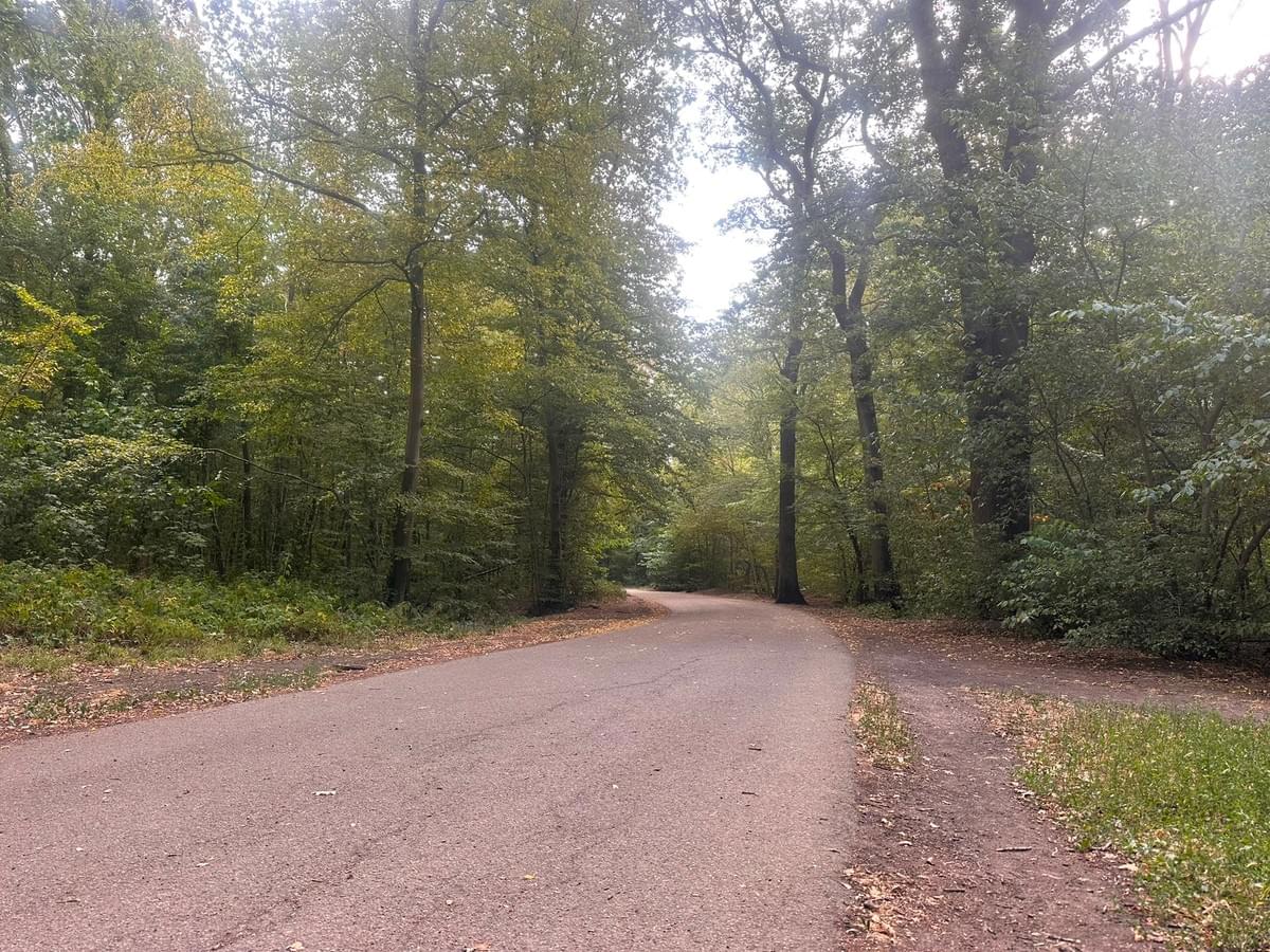 La route de la Côte Grise Deuxième Colline pour les coureurs du 8 km et Troisième Colline pour ceux du 16 km - Photo Ville de Garches La route de la Côte Grise Deuxième Colline pour les coureurs du 8 km et Troisième Colline pour ceux du 16 km - Photo Ville de Garches