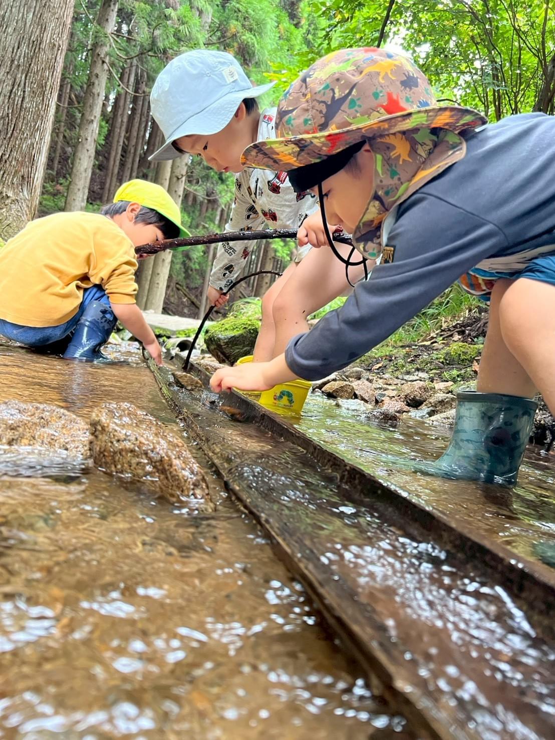 Through various activities, we draw out the children's spirit of challenge. nurture a heart that challenges Characteristics of forest kindergarten Starting nursery school study abroad at the wildest kindergarten in Japan located in Tottori Prefecture! Features are as follows: "The wildest kindergarten in Japan" founded by "challengers". Support for visits and stays by dedicated concierge. Encounters that stimulate curiosity.