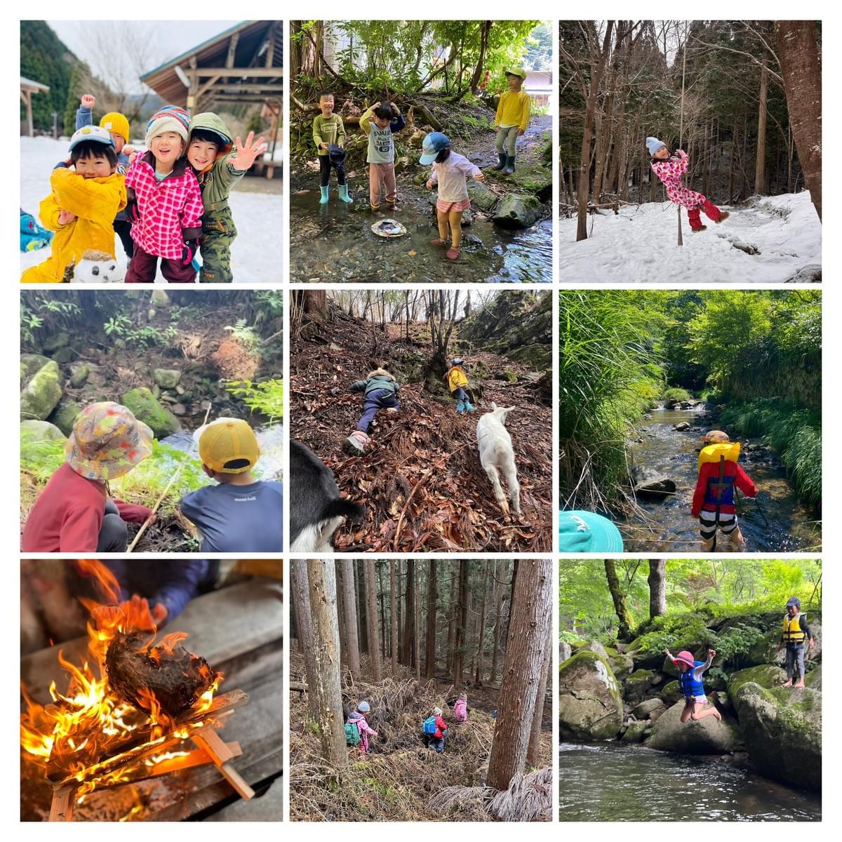 In the forest kindergarten, it is important for children to learn while playing in nature. Through interaction with trees, rivers, and animals, curiosity and a spirit of exploration are nurtured. nature experience type education The charm of forest kindergarten Starting nursery school study abroad at the wildest kindergarten in Japan located in Tottori Prefecture! Features are as follows: "The wildest kindergarten in Japan" founded by "challengers". Support for visits and stays by dedicated concierge. Encounters that stimulate curiosity.