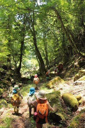 Children play in nature, stimulating the five senses and nurturing creativity. interaction with nature Characteristics of forest kindergarten Starting nursery school study abroad at the wildest kindergarten in Japan located in Tottori Prefecture! Features are as follows: "The wildest kindergarten in Japan founded by challengers. Support for visits and stays by dedicated concierges. Encounters that stimulate curiosity."
