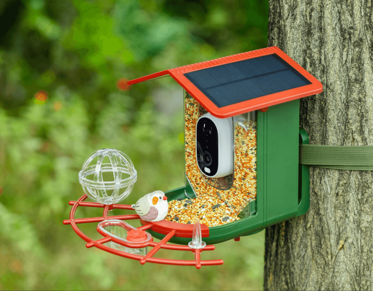 Detiko Smart bird feeder;  Bird feeder with camera；Black Friday gift