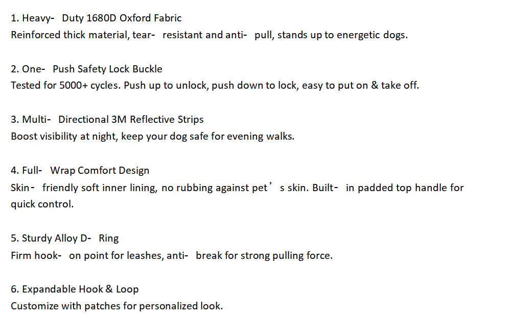 Dog Leash & Harness Set