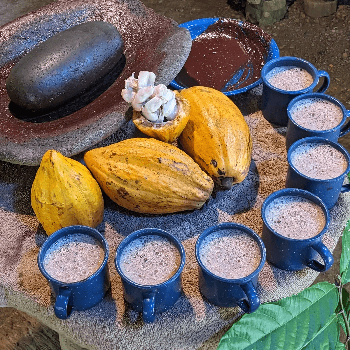 Nauyaca Waterfall Nature Park , Costa Rica