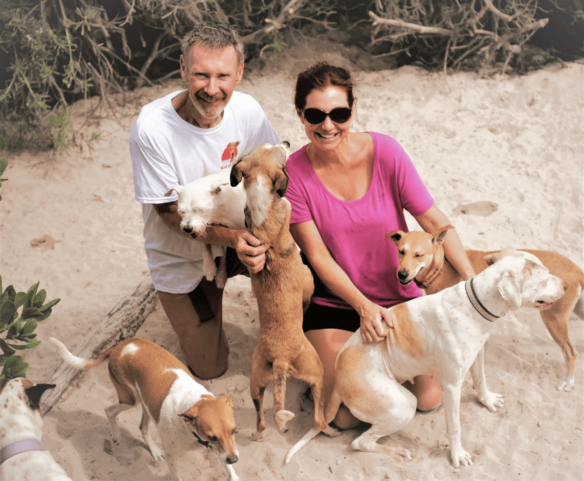 Beach Dog Rescue founders surrounded by rescued dogs on a beach in Mexico.