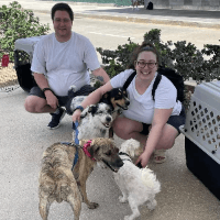 Flight parents at the airport posing with the four dogs they were bringing to Canada.