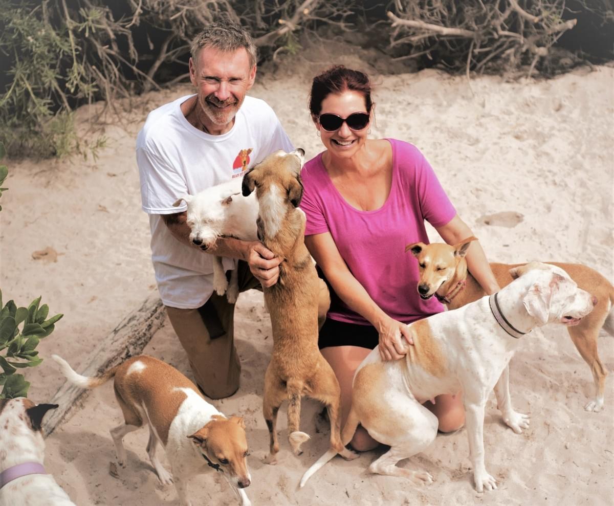 Beach Dog Rescue founders surrounded by rescued dogs on a beach in Mexico.