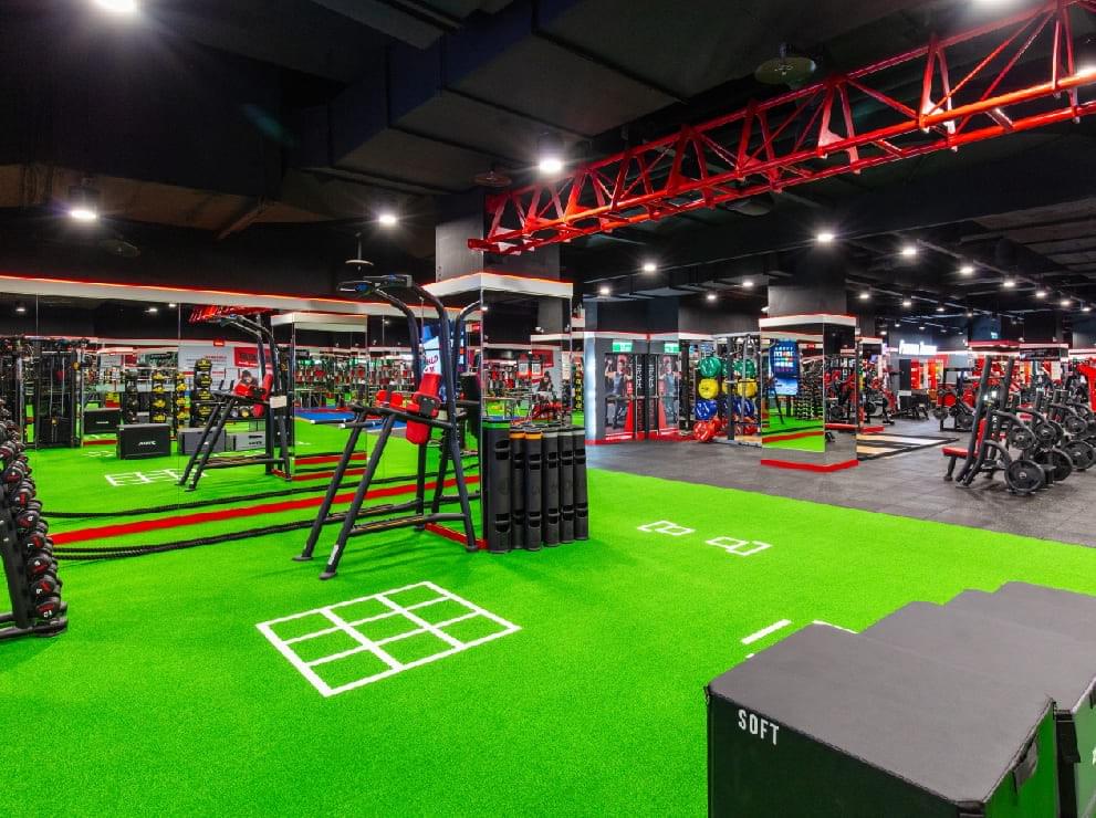 - Wang Zhiming Here, I feel unprecedented support and friendliness. Every time after training, I am filled with a sense of achievement! Our members have found their health and vitality in gyms around the world. world gym online membership, membership plan introduction, brand activities