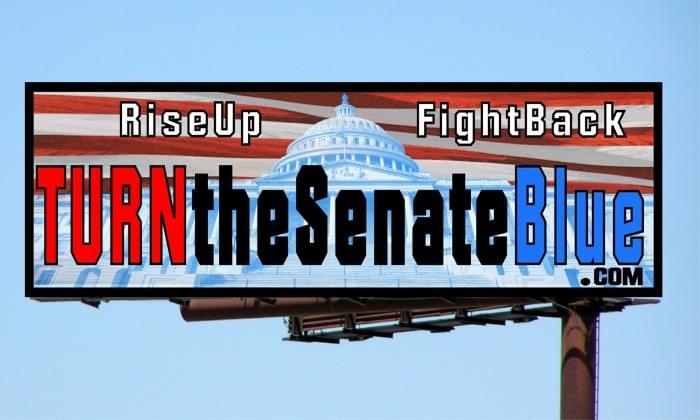 TurnTheSenateBlue.com