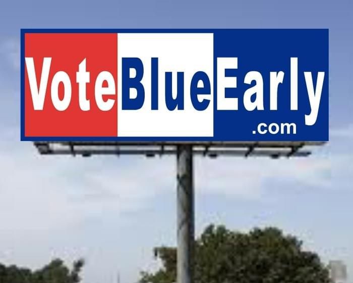 BlueWaveVote.com