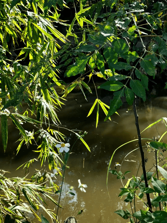 Access a variety of assessment tools to evaluate student progress and ensure mastery of IB Science topics. Assessment Tools What We Offer Sell Plan IB Science Lessons and Teaching Resources.