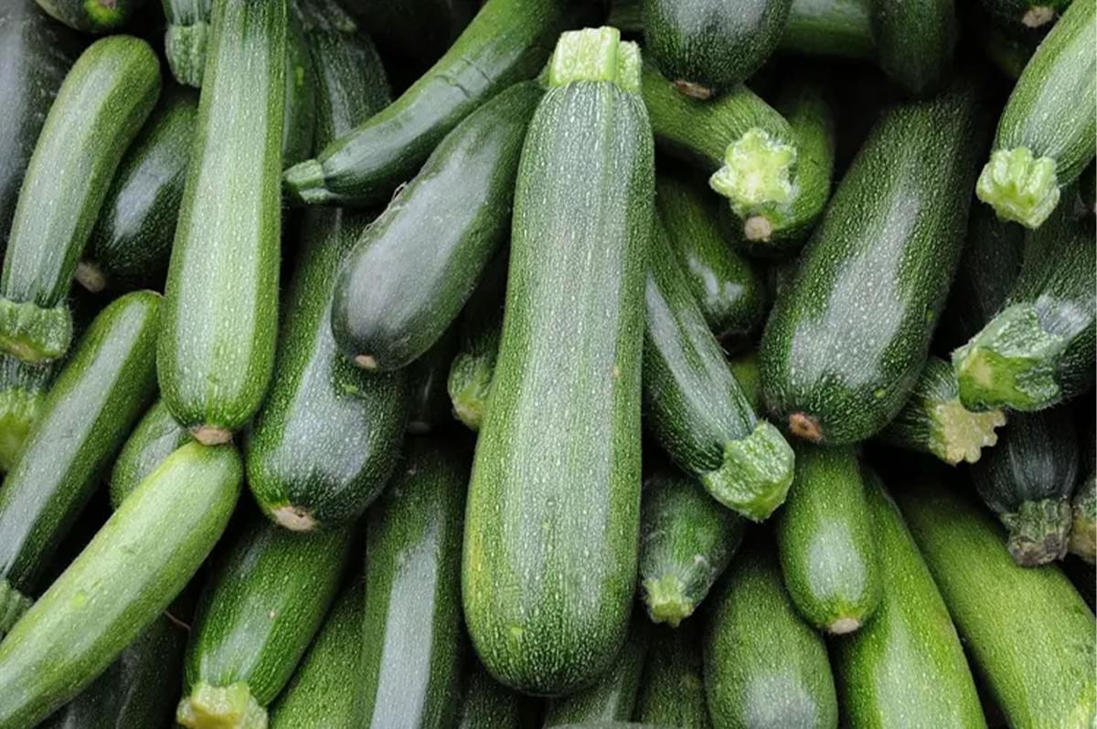 A close-up shot of a large pile of freshly harvested, dark green zucchini (courgettes) with bright green stems.