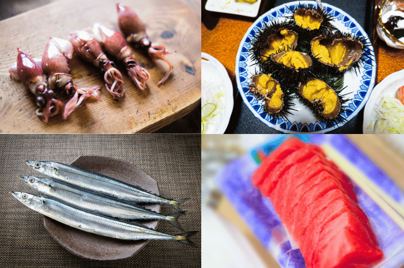 A collage of fresh seafood—squid, sea urchin roe, Pacific saury, and tuna sashimi—showcasing the vibrant variety of seasonal ingredients featured in Singapore’s authentic Japanese restaurants.