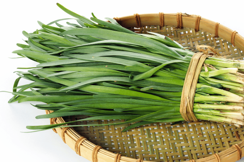 A bundle of fresh, slender green leeks tied with a natural fiber string and resting in a woven bamboo basket.