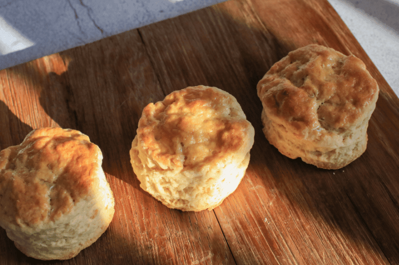 Three freshly baked plain scones with glossy, golden tops arranged in a row on a rustic wooden cutting board under warm, natural sunlight.