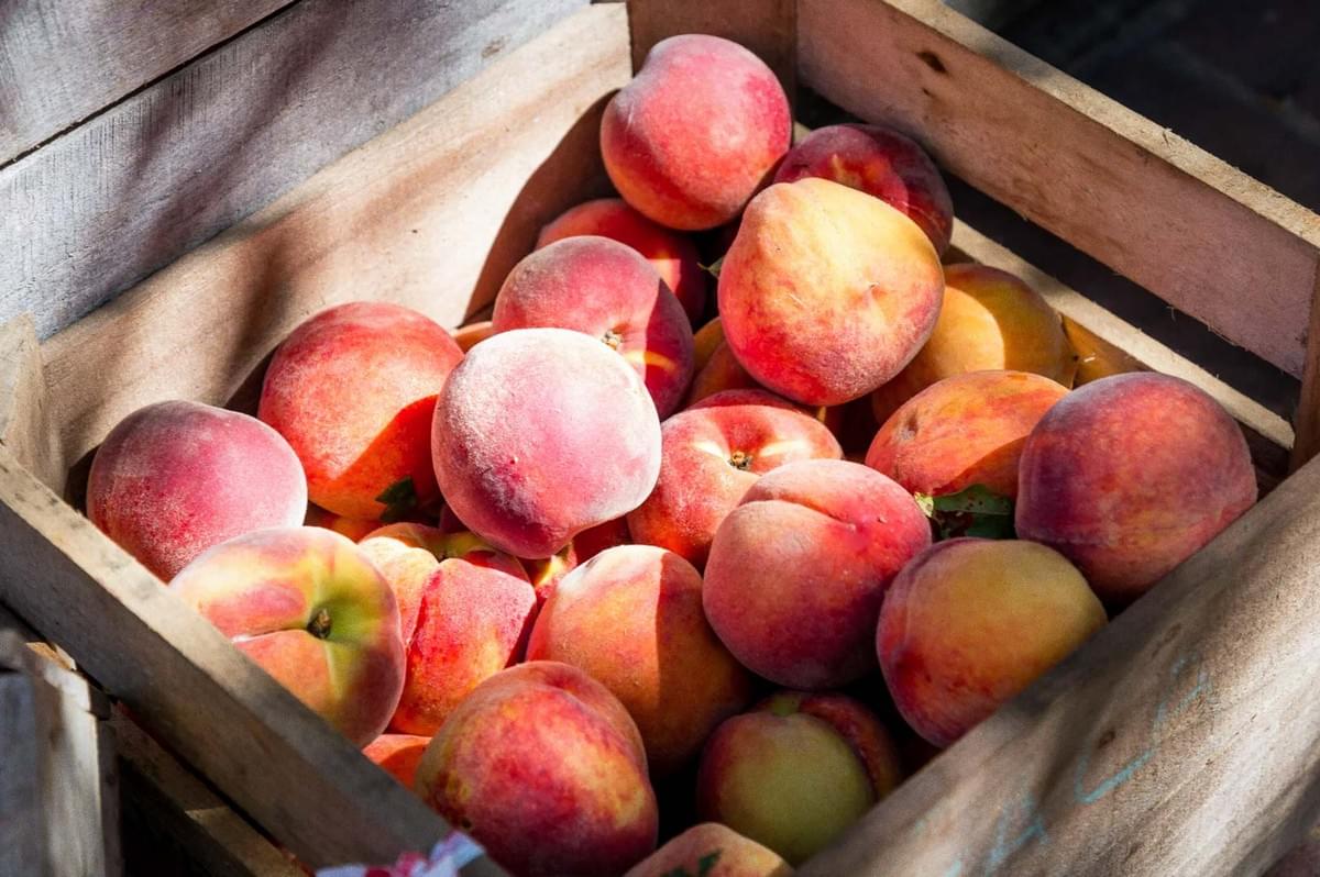 A wooden crate filled with ripe peaches in shades of pink, orange, and yellow, illuminated by natural sunlight.