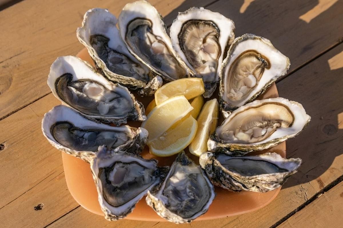 Fresh raw oysters on the half shell arranged in a circle on a platter with fresh lemon wedges, served on a wooden table.