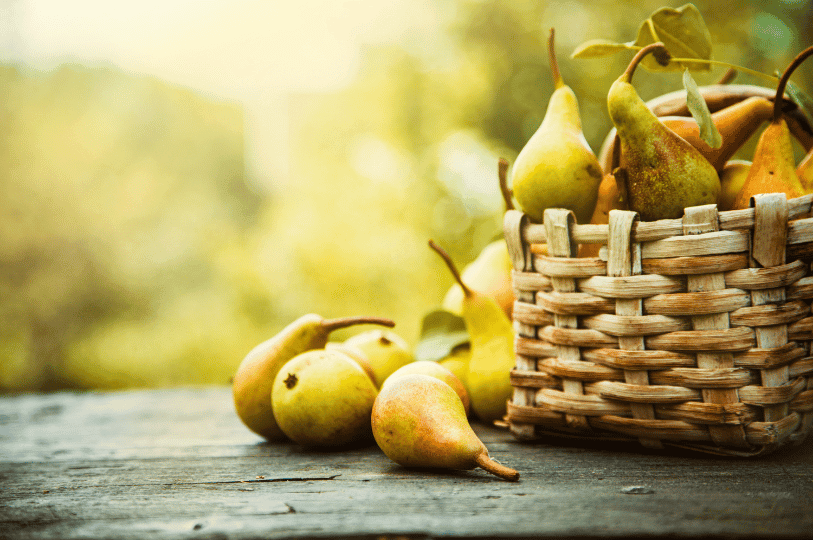 Several yellow-green Bartlett pears spilling out of a rustic woven basket onto a weathered wooden table, with a soft, sun-drenched autumn orchard background.