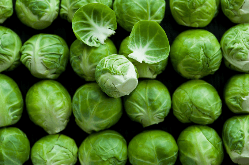 A high-angle, organized grid of fresh, bright green raw Brussels sprouts on a dark background.