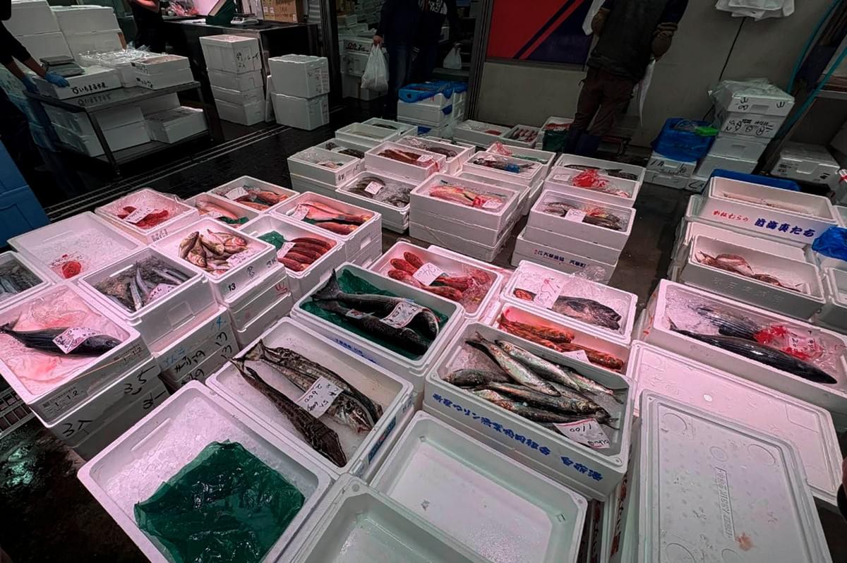 An overhead view of a bustling Japanese fish market floor. Dozens of white Styrofoam crates are arranged in rows, each filled with various types of fresh seafood on ice, including whole red snapper, mackerel, sardines, and long, slender fish. Hand-written price tags and labels in Japanese are tucked into the boxes. In the background, workers in boots and casual clothes move through the dimly lit, industrial space.