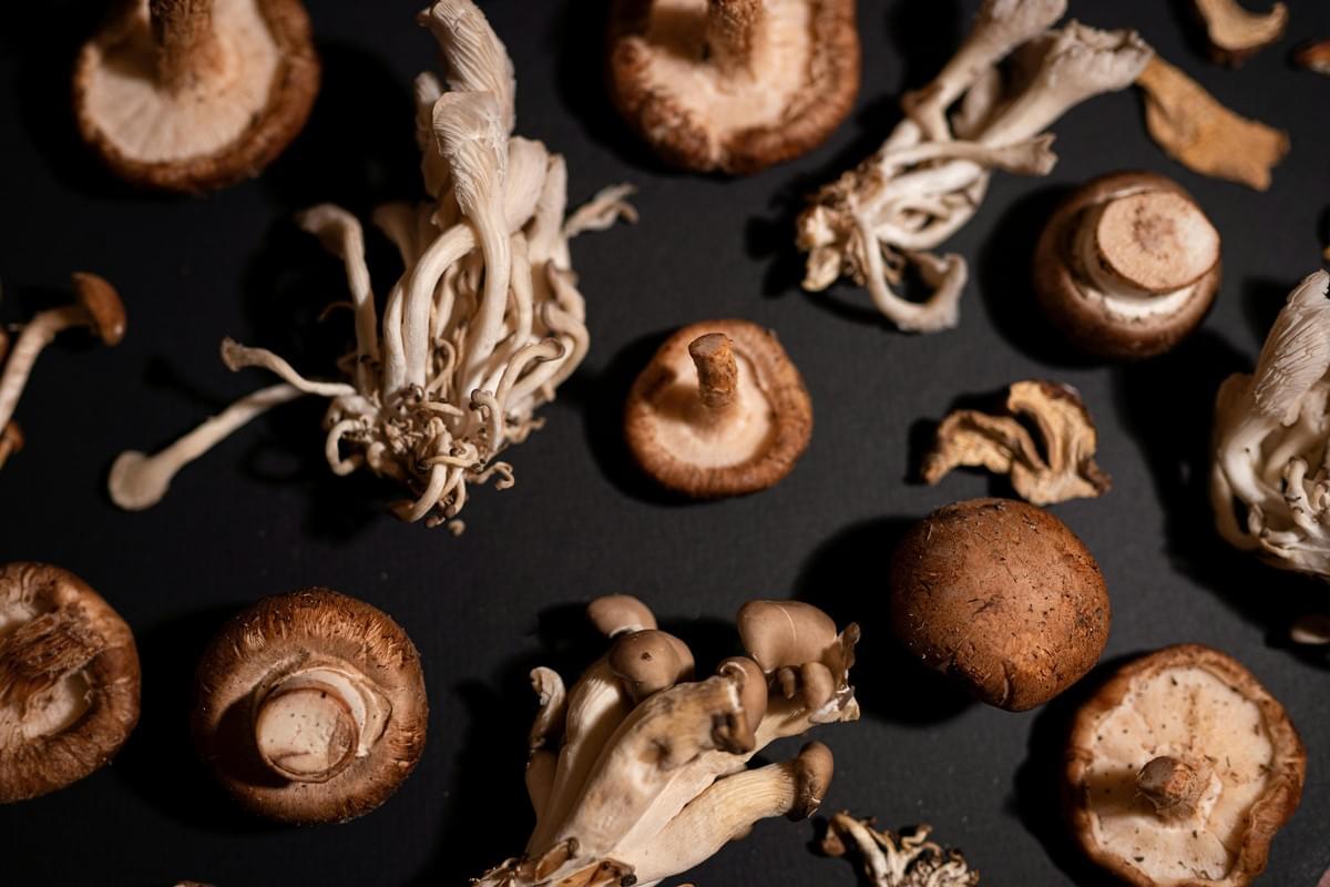 An assortment of various raw mushrooms, including shiitake, cremini, and clustered white varieties, is scattered across a dark black background. The view from above captures the diverse textures, colors, and shapes of the fungi under dramatic lighting.
