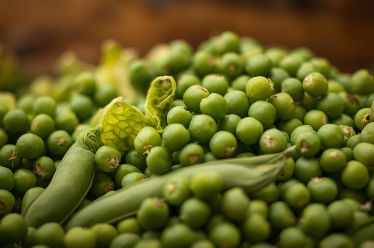 Close-up macro shot of a large pile of vibrant green, freshly shelled spring peas with a few whole pea pods mixed in.