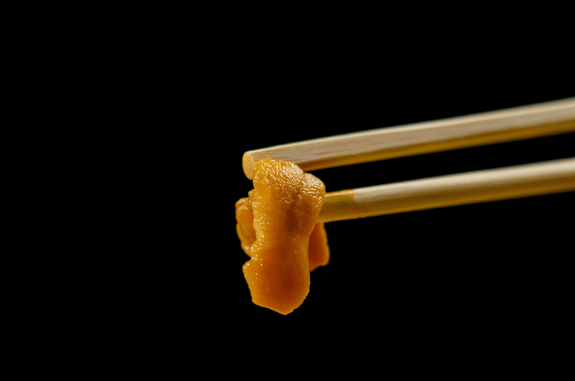 A single, glistening piece of premium sea urchin held by wooden chopsticks against a solid black background.