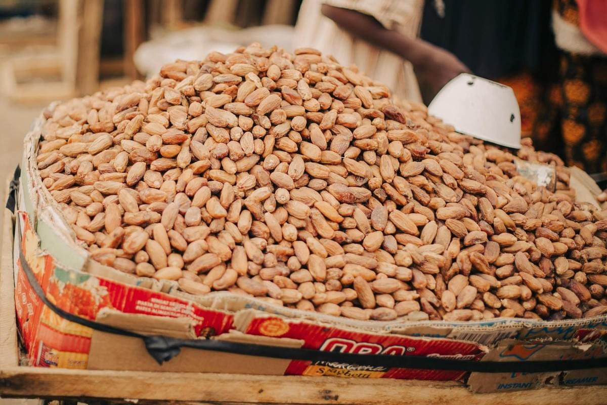 A massive, overflowing mound of light brown dried dates is piled high within a makeshift bin constructed from taped-up cardboard boxes featuring red and white labeling. A white scoop rests near the peak of the heap, suggesting a casual market setting where these textured fruits are ready to be served to customers.