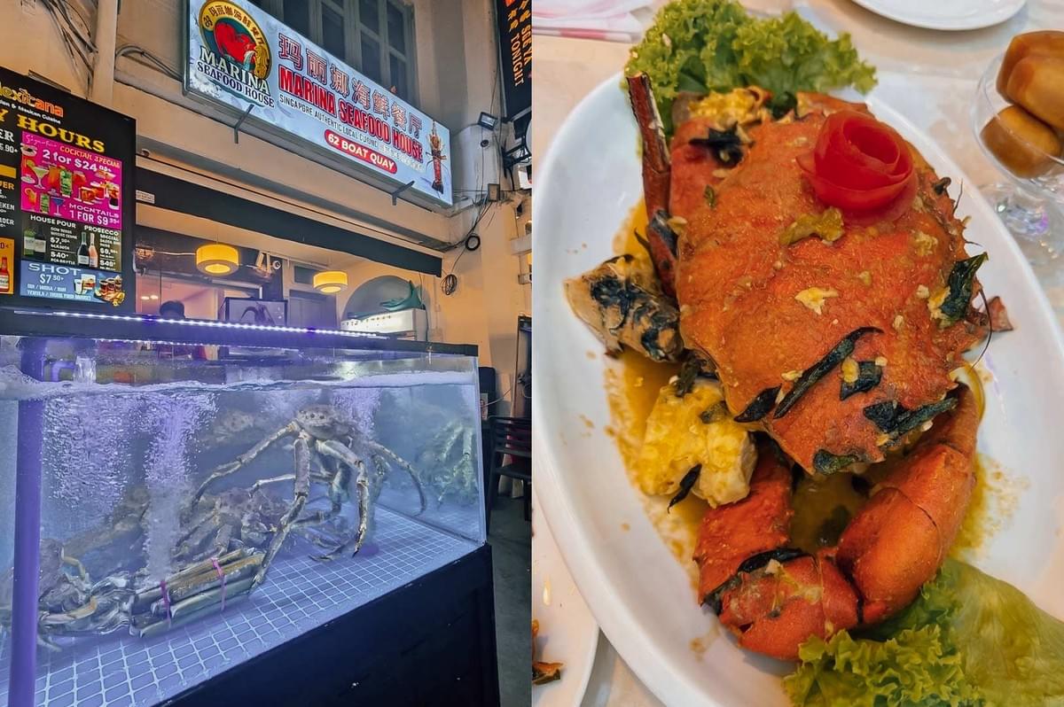A split image depicting Marina Seafood House on the left and a cooked seafood dish on the right. The left panel shows the storefront with a lit sign reading "Marina Seafood House" above an illuminated glass aquarium containing live crabs. The right panel presents a large cooked red crab resting on green lettuce leaves, garnished with a tomato rose and dark green herbs on a white platter.