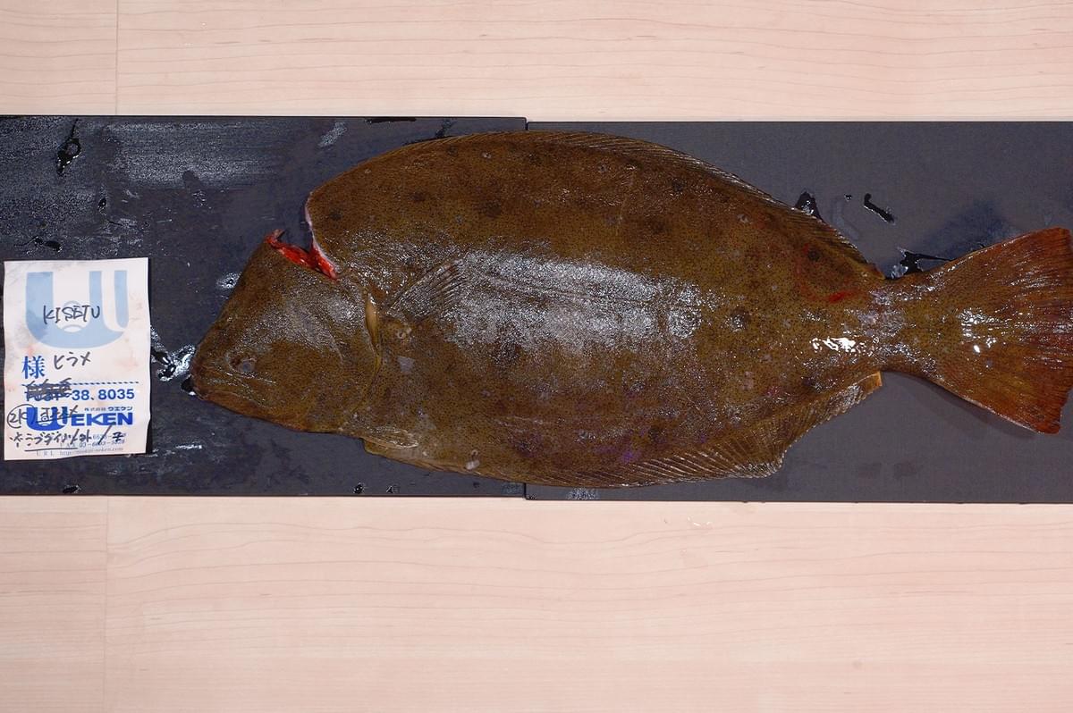 A whole, fresh Hirame (flounder) flatfish lying on a dark surface with a market tag, displaying high-quality raw seafood ingredients.