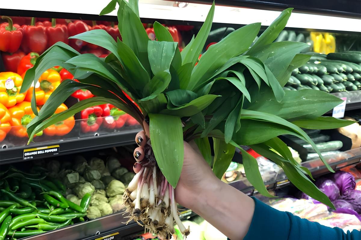 A hand holding a large bunch of fresh ramps over a supermarket produce display, with red and yellow bell peppers and cucumbers visible in the background.