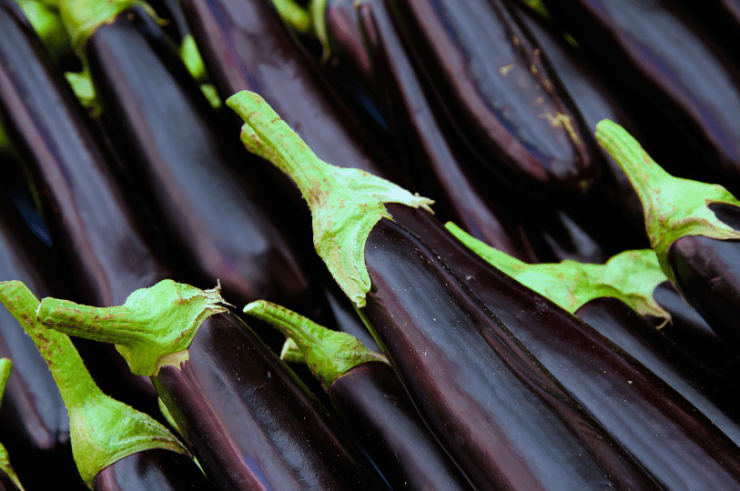 A dense, top-down close-up of several long, summer eggplants, highlighting their bright green calyxes and deep violet, smooth skin.