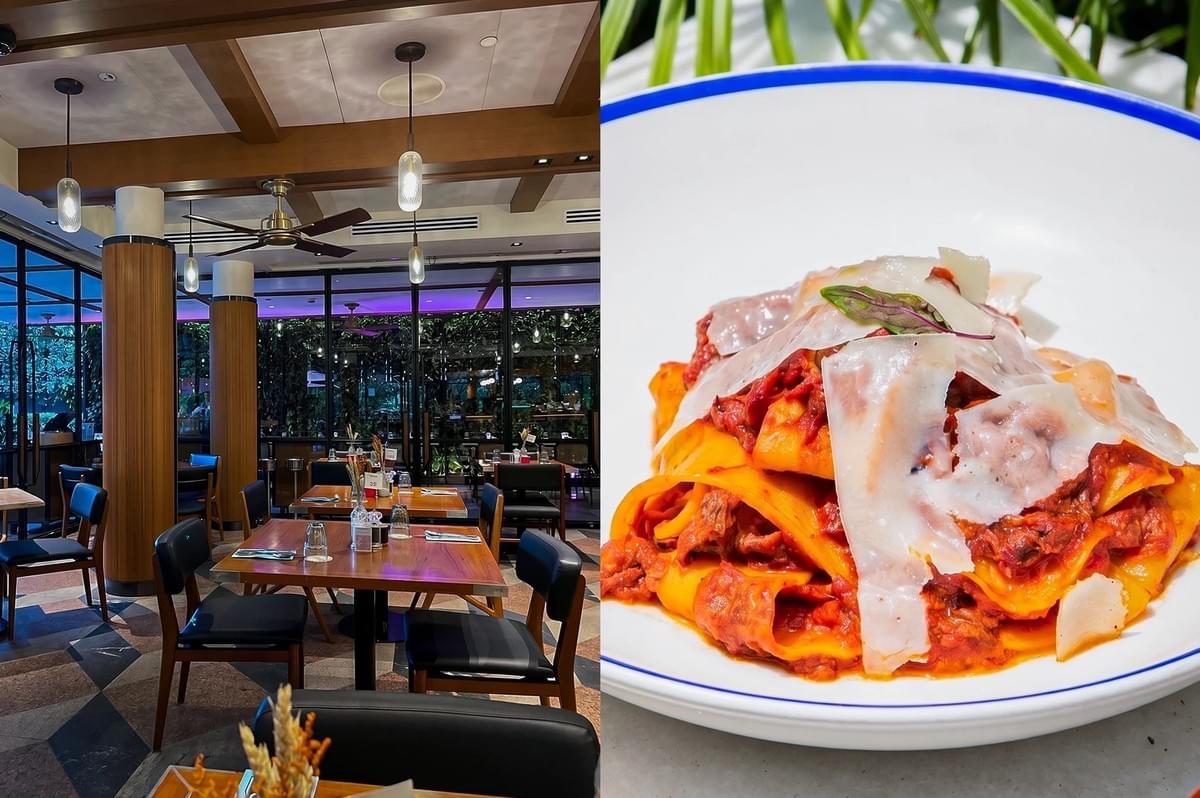 Left: An eye-level, wide-angle view of a contemporary restaurant dining room, showcasing polished wooden tables, black upholstered chairs, large floor-to-ceiling glass windows revealing greenery outside, wood-paneled pillars, and modern pendant lights hanging from the ceiling. Right: A close-up, three-quarter food shot of a plate of handmade pasta, featuring wide, thick noodles coated in a rich, red meat ragu sauce, elegantly layered and topped with large, thin shavings of parmesan cheese in a white bowl with a thin blue rim.”