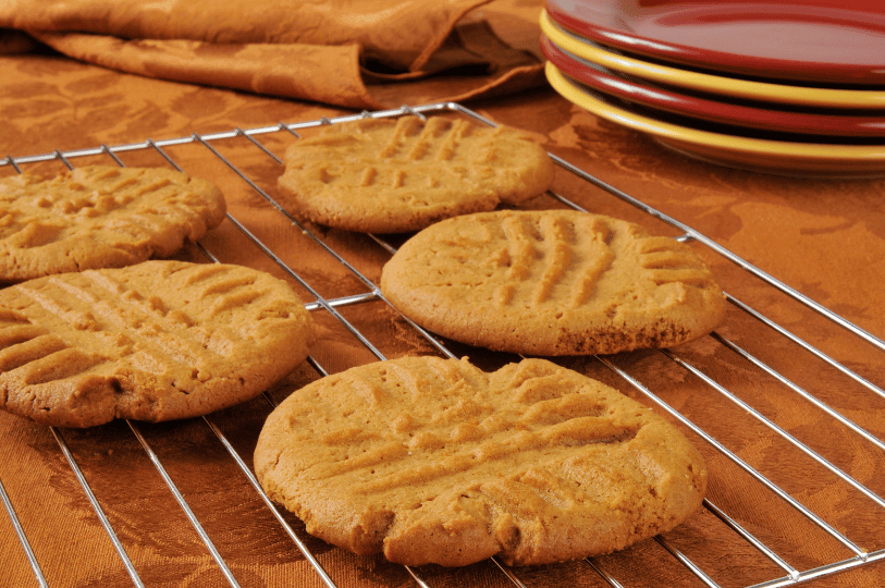 An artistic close-up of a single peanut butter cookie broken in half to reveal a dense, chewy interior, highlighting the flourless consistency.